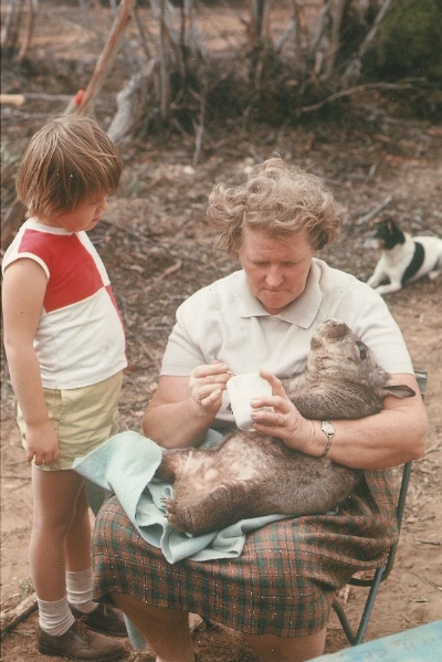 Peg Conquest giving a drink to a caught wombat on Portee, May 1968