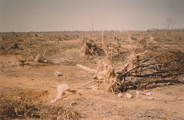 Cleared land. The cause of the degradation of the environment. Drought and dust-storms. This is the property joining Portee Station on the western boundary, 1967