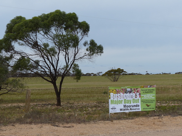 bushcares-major-day-out-roadside-banner