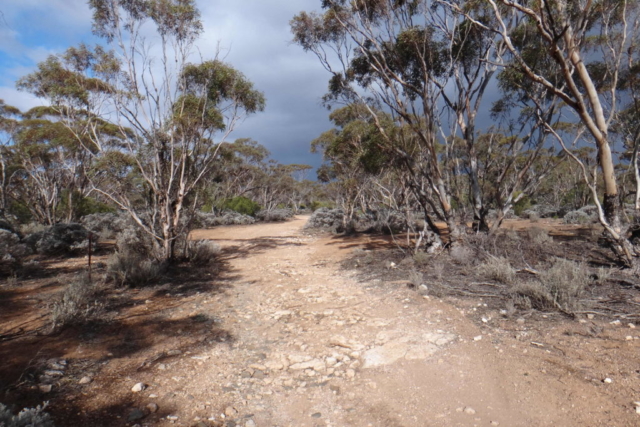 Paul Green - On the wombat trail