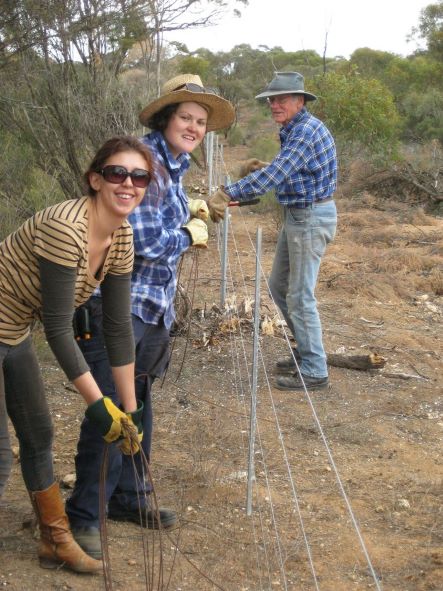 Glen plus volunteers repairing a fence