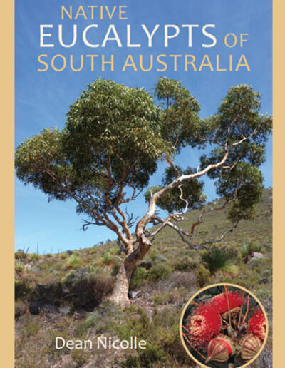 Native eucalypts of south australia