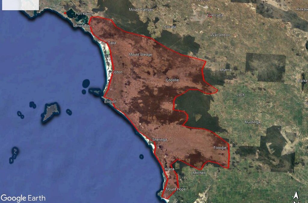 Eyre Peninsula Wombats