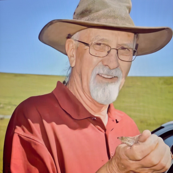 Wayne Donald Member