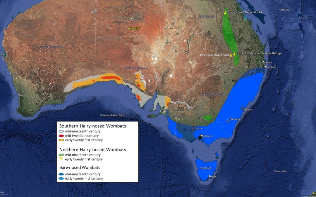 Australian Wombat Distribution Map