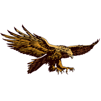 NHSSA Logo