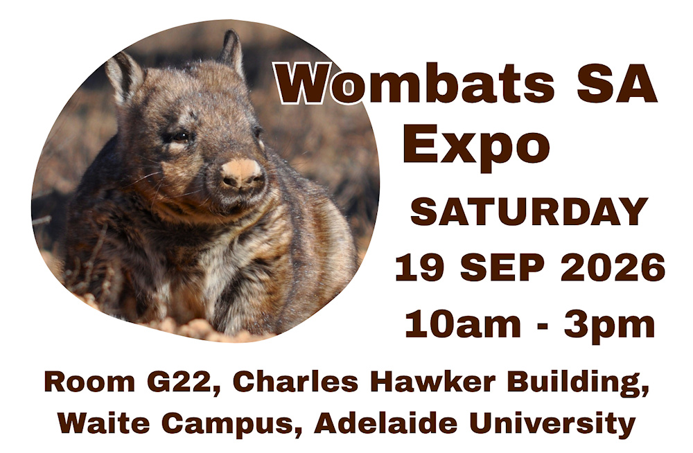 Wombats SA EXPO September 19