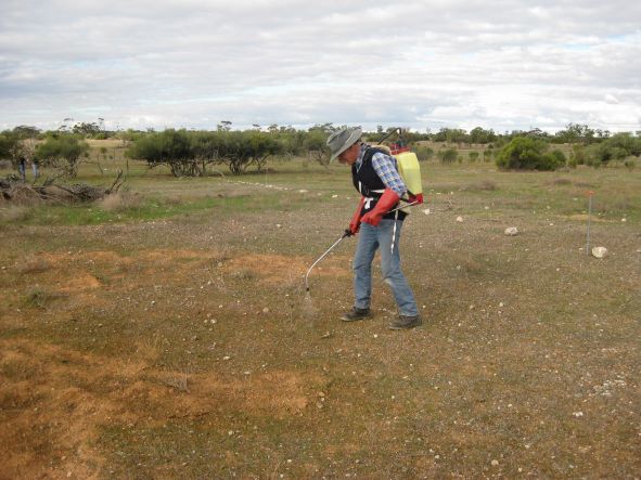 Glen Spraying for weeds in the Peter Collins Exclosure trial areas on Moorunde WR.