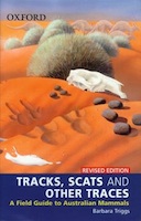 tracks-scat-and-other-traces